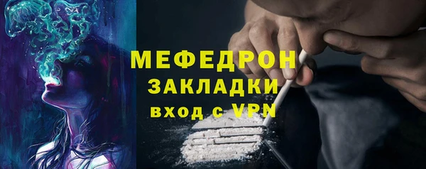 индика Осташков