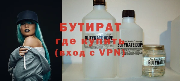 индика Осташков