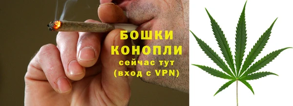 ПСИЛОЦИБИНОВЫЕ ГРИБЫ Переславль-Залесский
