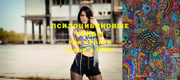ПСИЛОЦИБИНОВЫЕ ГРИБЫ Переславль-Залесский