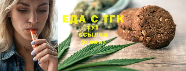 индика Осташков