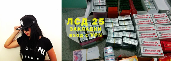 ПСИЛОЦИБИНОВЫЕ ГРИБЫ Переславль-Залесский