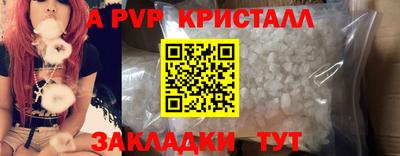 крисы Донской