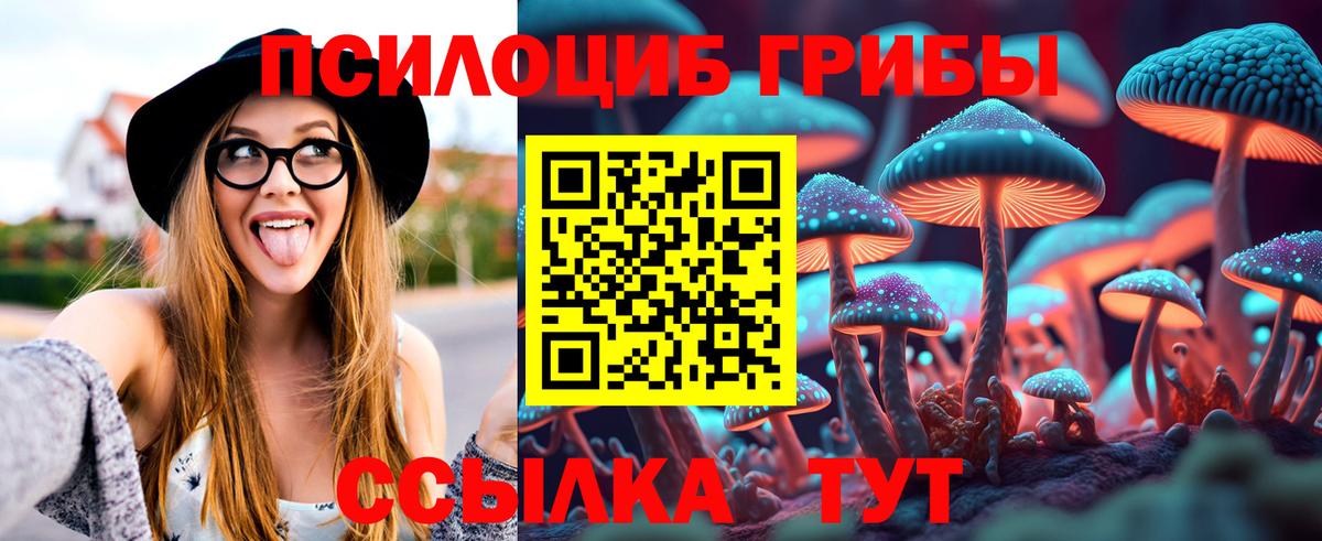 Псилоцибиновые грибы прущие грибы Вязьма