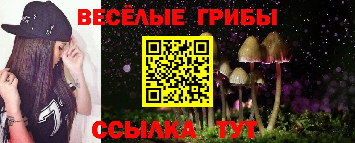 Псилоцибиновые грибы мицелий  Галлюциногенные грибы Psilocybe  Вязьма 