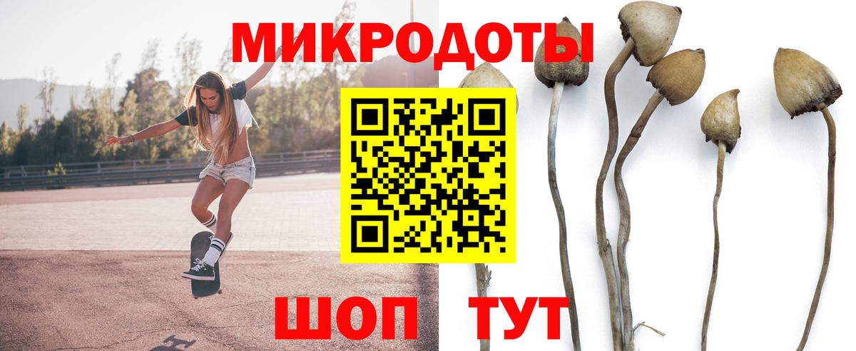 Псилоцибиновые грибы Psilocybine cubensis  Псилоцибиновые грибы Cubensis  Вход с VPN  Вязьма 